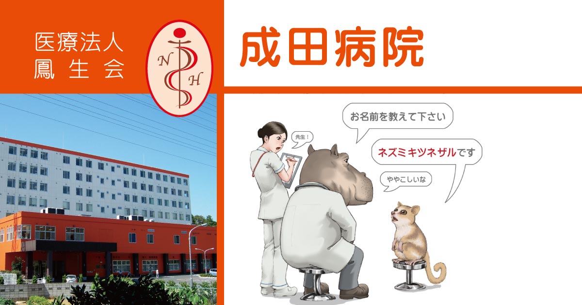 Bibian 比比昂 - □南野陽子 菩提樹 B2サイズ ポスター 美品